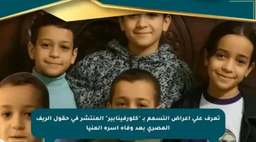 تعرف على أعراض التسمم بـ “كلورفينابير” المنتشر في حقول الريف المصري بعد وفاة أسرة المنيا